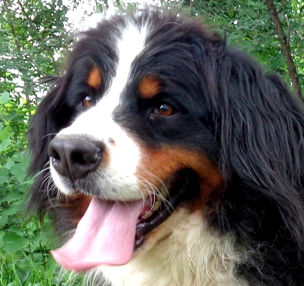Renske
